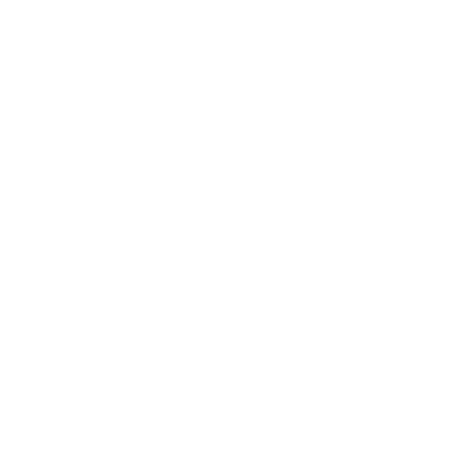 spaceinvaders's emblem